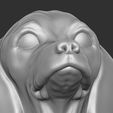 17.jpg Puppy of Dachshund dog head for 3D printing