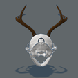 Gato-cuerno-5.png Decorative cat with horns