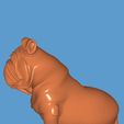 1000119862.jpg English Bulldog