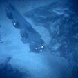 PDVD_015.jpg submarine cetacean man from atlantis