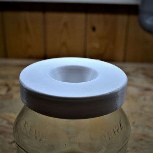 _DSC0224.JPG fruit fly trap