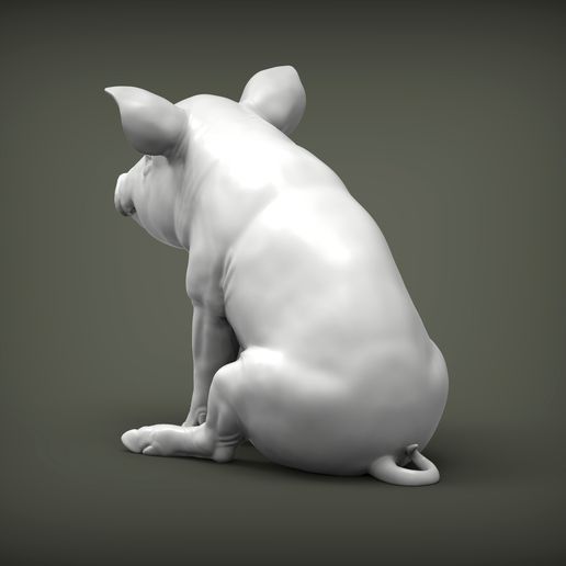 Baby-pig-sitting2.jpg Baby pig sitting 3D print model