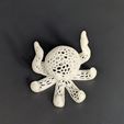 2026-08-07-23-09-31.jpg Octopus Stand voronoi