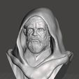 LUKE_3D_BUST_001.jpg OLD LUKE SKYWALKER INSPIRITED BUST