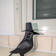 PXL_20250626_215650890.jpg K-Pop Demon hunters Crow / Magpie bird