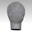N5.jpg Leon:The Professional Norman Stanfield HEAD SCULPTURE 3D PRINT MODEL