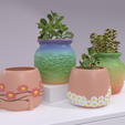 Pot_Flower_04.png (BUNDLE SET) Daisy Flower Decorative Planter Set