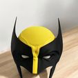 pic-13.jpg Wolverine Cosplay Helmet