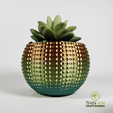 diamond-planter-no-drip-tray.png Textured Planter Series