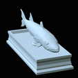 Barracuda-base-32.png fish great barracuda / Sphyraena barracuda statue detailed texture for 3d printing