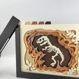 IMG20240707211119.jpg Dinosaur Shadow Box (B)