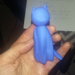 Chava3.jpg Fichier STL gratuit CHAVA #FIVERRCULTS #BUREAU #DESIGN #CHAT #MAISON・Objet pour impression 3D à télécharger