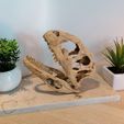 IMG_20210619_151723.jpg Majungasaurus Schädel 3D-Druck - Dinosaurier