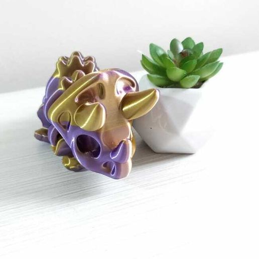 WhatsApp-Image-2023-08-01-at-8.01.19-AM.jpeg Nice Triceratops Skeleton