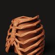 D7.10.jpg Ribcage Skeleton Planter | Gothic Anatomy Flower Pot | Dark Aesthetic Decor 3D Print