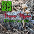Pinecone-Mycena-geocache.jpg Pinecone Mycena Geocache - Geocache Pineapple Mycena