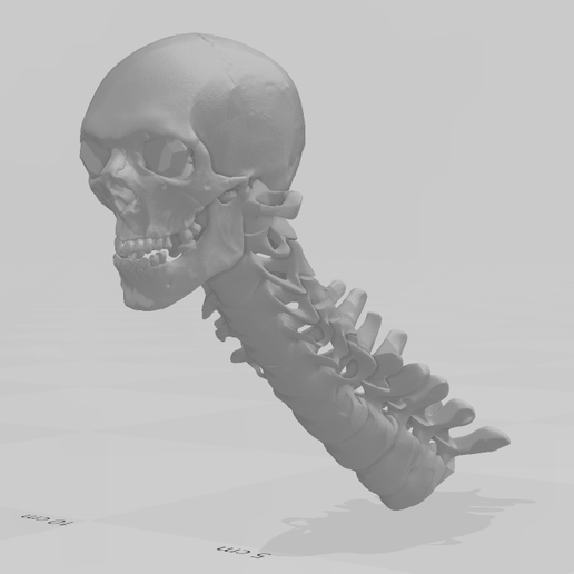 Wand-View-1.png Baguette de nécromancien maléfique