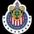 49840189_368959613921170_3039808845145702400_n.jpg Chivas del guadalajara Soccer Team Shield