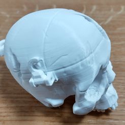 Boneheads: Boîte Crâne avec cerveau - via 3DKitbash.com, CharlesSmith
