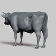 R04.jpg cow pose 01