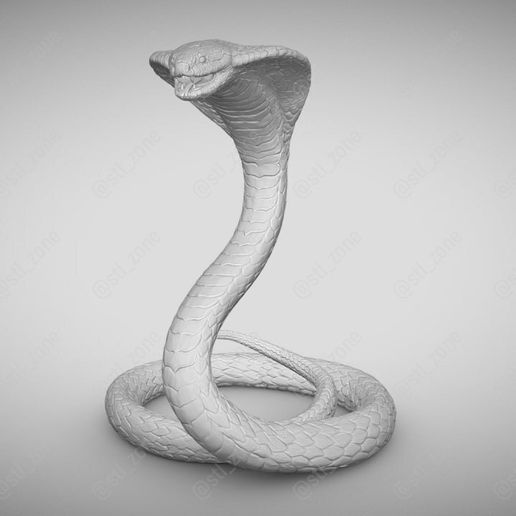 5404747533906988571.jpg SNAKE COBRA