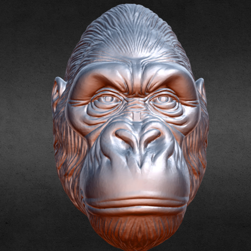 🦍 Cabeça de gorila de dorso prateado・Arquivo STL para Impressão