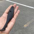 IMG_E1243.JPG STL file fishing lure mold - stealth swimmer・Template to download and 3D print