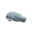 crocodile2.png crocodile