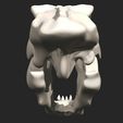 12.jpg Smilodon Skull