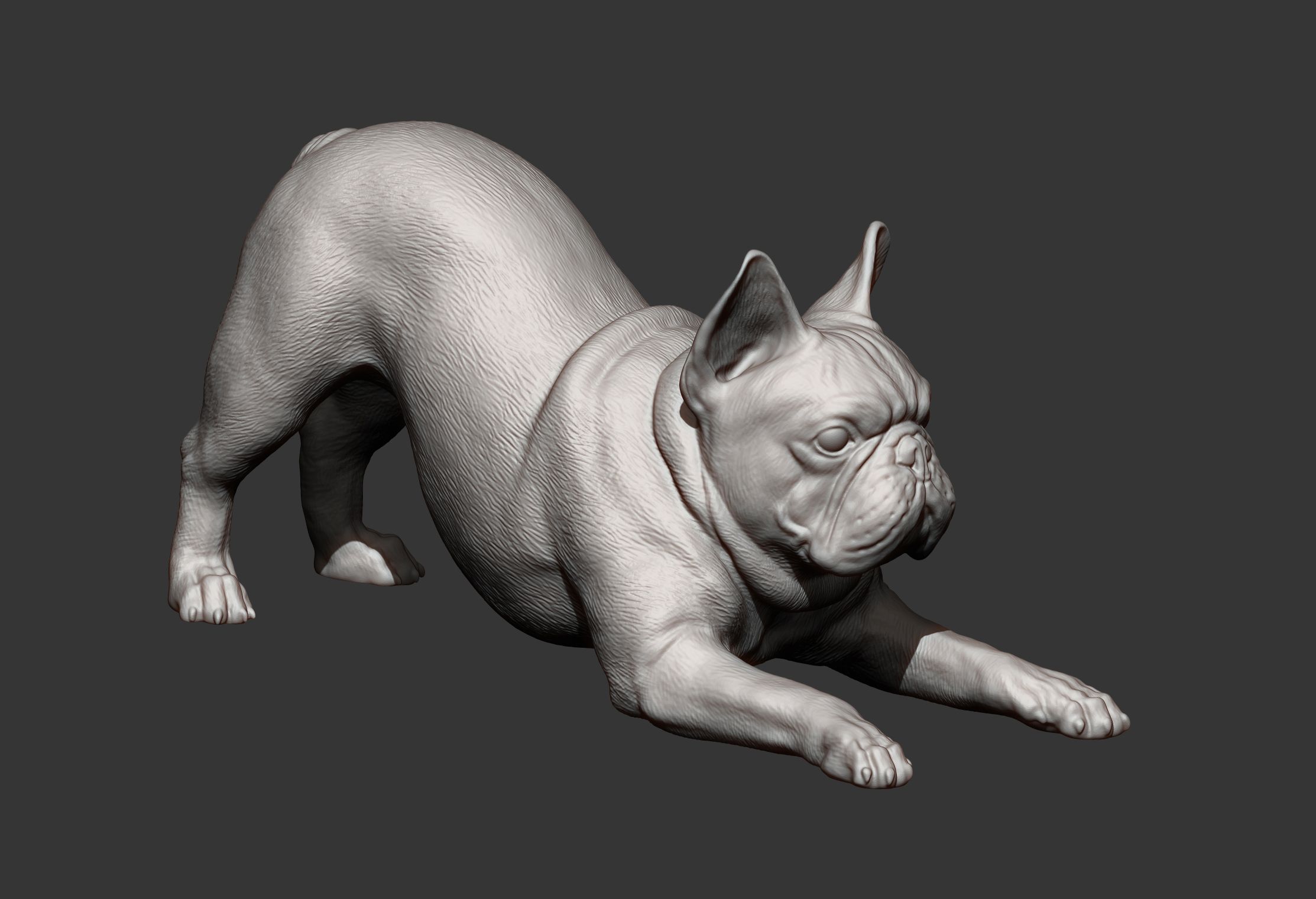 French-Bulldog8.jpg Archivo 3D Modelo de impresión en 3D de un Bulldog Francés・Objeto imprimible en 3D para descargar, akuzmenko
