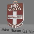 Evian-Thoron-Gaillard.jpg French Ligue 1 all teams logos printable