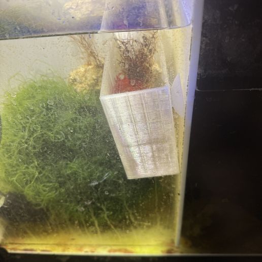 IMG_0688.jpeg Refugium Box