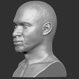 4.jpg Usher bust for 3D printing