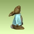 3.jpg Tales of Peter Rabbit Bunny