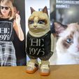 MVIMG_20221105_173354.jpg High Quality British Shorthair Cat Human Figure for 3D printing