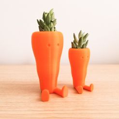 c01.jpg Cute Carrot Shaped Succulent planter