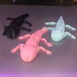 foto3.jpeg STL file Axolotl Flexible Articulated・Model to download and 3D print