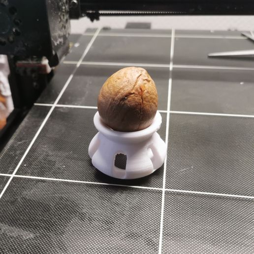 Avocado Pit Holder for Sprouting 3D model