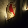 20220818_144548.jpg "Always In Our Hearts" Cardinal Lithophane Nightlight