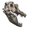 07.jpg Spinosaurus aegypticus