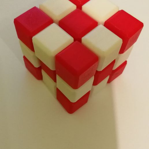 Snake Puzzle