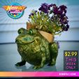 FroggyPlanter_SALE.jpg Froggy Planter - no supports
