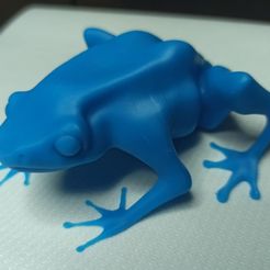 ScreenShot001.jpg Free STL file Dendrobate・3D print design to download