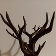 Dead tree
