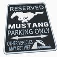 Screenshot-2023-03-10-165945.jpg Ford Mustang GTR GT3 GT4 Dark Horse Parking Sign