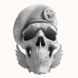 Naval-Special-Forces-Skull.jpg Naval Special Forces Skull