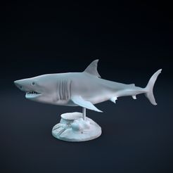 Great_white_2.jpg -Datei Weißer Hai schwimmend herunterladen • Modell für 3D-Drucker, Nikola_Roglic