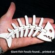 c5cbbbea8fa9047d2d5b70d9108af221_display_large.jpg STL-Datei Fish Fossilz kostenlos・Objekt zum Herunterladen und Drucken in 3D