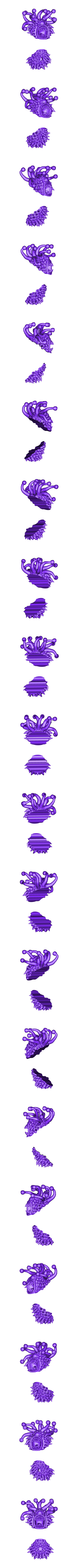 BeholderSplitt.stl Beholder - 28mm D&D minyatürü