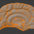11.png 3D Model of Left and Right Brain